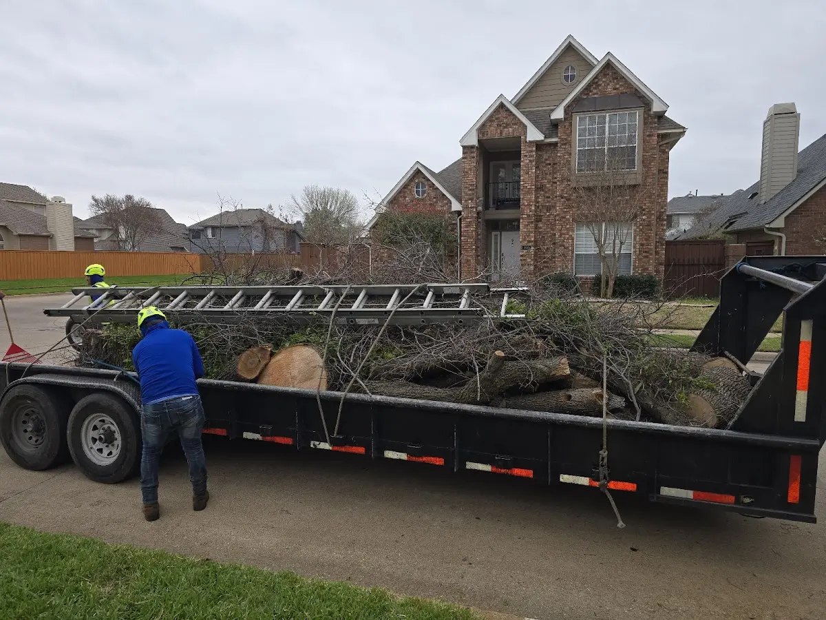 Expert Tree Fertilization with proper safety equipment in Mcalester
